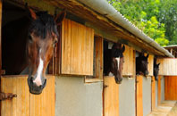 free Arreton stable construction quotes